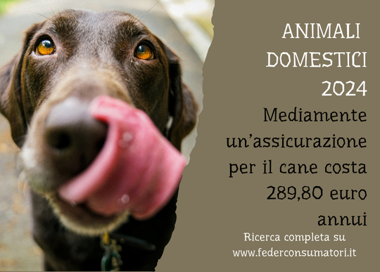cane assicurazione costo.png